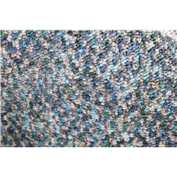 #38 CARPET ROLL END 43' X 12 FT