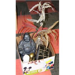 BOX W/GARDEN BUDDHA, GOLDEN BOY