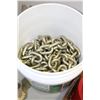 Image 1 : 22' CHAIN