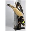 Image 1 : ESTATE HORN CARVED BIRD