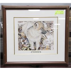 YOUNG TIMBER WOLF FRAMED PRINT