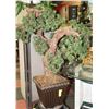 Image 1 : LARGE ARTIFICIAL BONSAI TREE IN POT