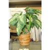 Image 1 : ARTIFICIAL PLANT/FLOWERS IN WICKER BASKET