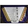 Image 1 : MELODY HARP WITH CASE