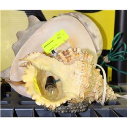 TWO CONCH SEASHELL LAMPS