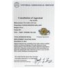 Image 7 : EGL USA Cert 2.86 ctw VS1 Fancy Yellow Diamond Ring - Platinum