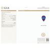 Image 6 : 14KT White Gold GIA Certified 24.90 ctw Tanzanite and Diamond Ring