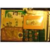 Image 1 : Large Group of Irish related Memorabilia in a glass Ryker case. Includes a 1908 era Pipe with Shamro