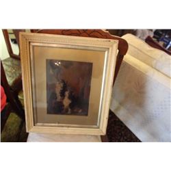 Very Old Kitty Picture