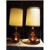 Image 1 : Amber Lamps pr 1970's