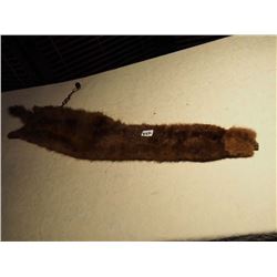 Mink Collar w/ Head and Claws n clips