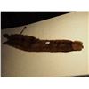 Image 1 : Mink Collar w/ Head and Claws n clips
