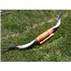 Image 1 : Longhorn Steer Horns