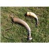 Image 1 : Powder Horns (2)