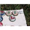 Image 3 : Bottle Caps (Including Sicks Brewery Prince Albert/Coca Cola North Battleford)