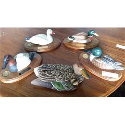 Duck's Unlimited Sponsor Decoys (5)