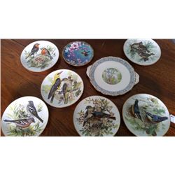 Collector Plates (8)