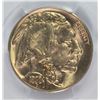 Image 2 : 1938-D/D BUFFALO NICKEL PCGS MS-66