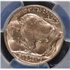 Image 3 : 1938-D BUFFALO NICKEL PCGS MS-66