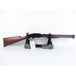 Little .44 magnum pump gun