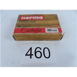 300 H&H 180 grain SP