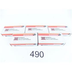 458 Winchester 200 grain silver tip