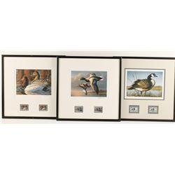 Lot of 3 Waterfowl Fine Art Prints with Stamps