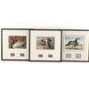 Image 1 : Lot of 3 Waterfowl Fine Art Prints with Stamps