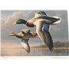 Image 2 : Lot of 3 Waterfowl Fine Art Prints with Stamps