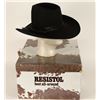 Image 1 : Resistol Cowboy Hat