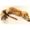 Image 1 : Fox Pelt