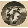 Image 2 : 2 Fine Art Horse Prints