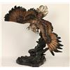 Image 2 : Eagle Bronze