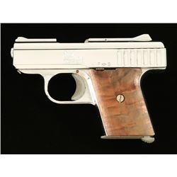 Raven Arms P-25 .25 Auto SN: 111108