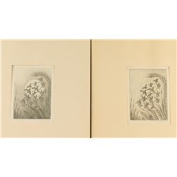 Collection of 2 Fine art etchings