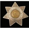 Image 1 : Deputy Sheriff Badge