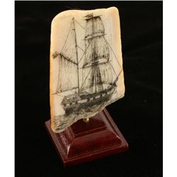 Pre-Ban Fossilized Ivory Scrimshaw