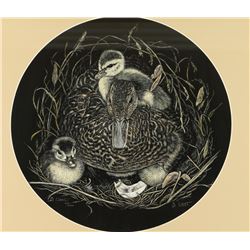 Scratchboard Art Print