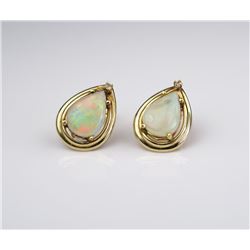 Colorful Ladies Earrings