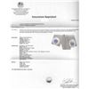 Image 3 : 0.75 ctw Tanzanite and Diamond Earrings - 18KT White Gold