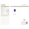 Image 6 : 14KT White Gold GIA Certified 16.98 ctw Tanzanite and Diamond Ring