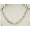 Image 1 : #40-STERLING SILVER FRESHWATER PEARL NECKLACE