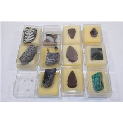 LARGE ASSORTMENT OF FOSSILS, ARROW HEADS, &
