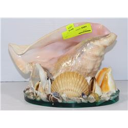SEASHELL COLLECTION ORNAMENT