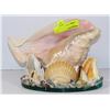 Image 1 : SEASHELL COLLECTION ORNAMENT