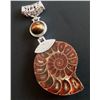Image 1 : NATURAL  AMMOLITE FOSSIL PENDANT SET IN .925