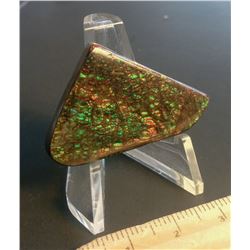 32MM X 25MM NATURAL AMMOLITE GEMSTONE