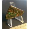 Image 1 : 32MM X 25MM NATURAL AMMOLITE GEMSTONE
