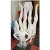Image 1 : 6 PC MANNEQUINS WITH MAGNETIC LIMBS
