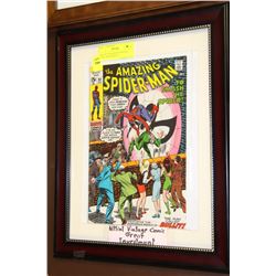 AMAZING SPIDERMAN VINTAGE COMIC BOOK DISPLAY